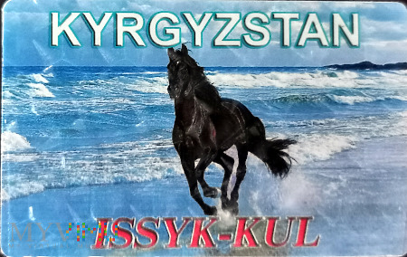 Kirgistan - czarny koń nad jeziorem Issyk-kul