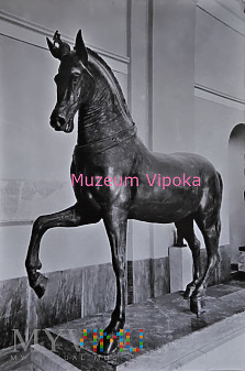 Neapol - Koń z brązu z Herkulanum