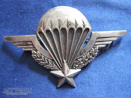 Odznaka spadochroniarza ANDOR