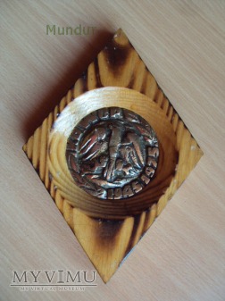 Medal pamiątkowy 30 lat Karpackiej Bryg. WOP