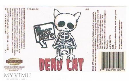 beer here - dead cat