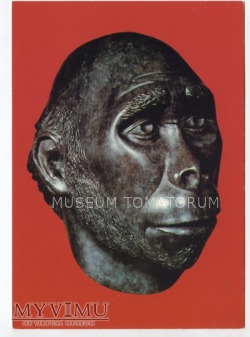 Duże zdjęcie Larsen - Człowiek pierwotny - Homo habilis