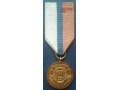 Złoty Medal Za Zasługi dla Ligi Obrony Kraju
