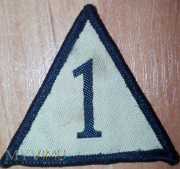 1st Armoured Infantry Brigade - pustynna