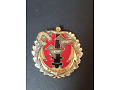 Odznaka 22 Pułku Artylerii Morskiej - Francja