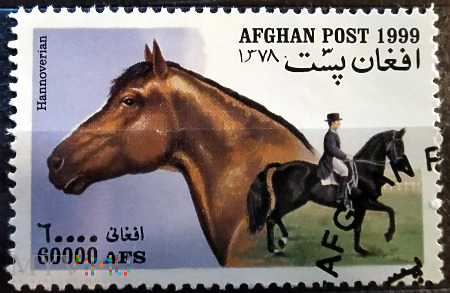 Koń hanowerski - znaczek z Afganistanu