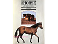 The HORSE Jane Kidd