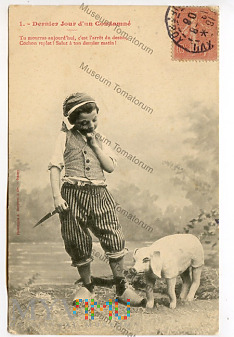 Świnka Nieszczęścia - 1905