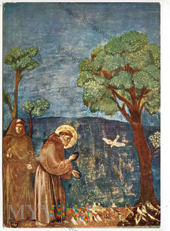 Duże zdjęcie Święty Franciszek i ptaki - Asyż