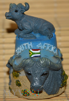 Republika Południowej Afryki/bawół