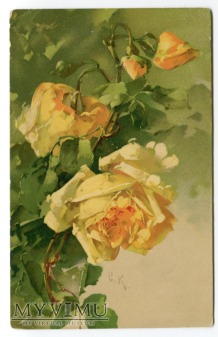 Catharina C. Klein żółte róże