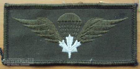 Oznaka Canadian Airborne Wings