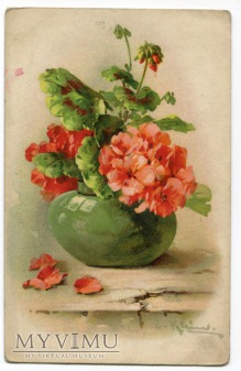 Catharina C. Klein piękne kwiaty Flowers