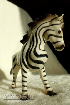 Duże zdjęcie Zebra