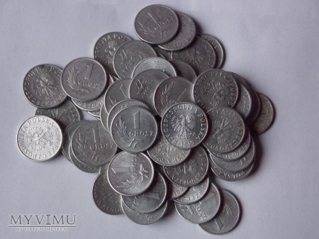 Monety 1 groszowe z 1949r