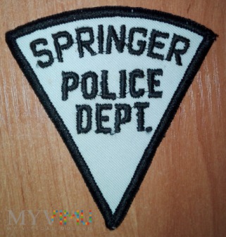 Springer policja