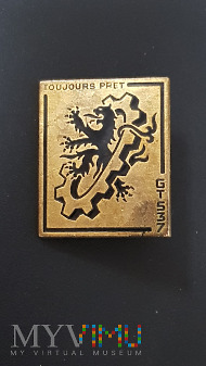Odznaka 537 Grupy Transportowej wojsk Francji