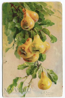 Catharina C. Klein owoce Fruit gruszki