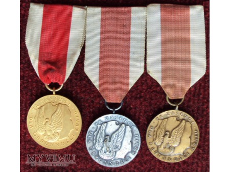 Duże zdjęcie Medal za Zasługi dla Obronności Kraju