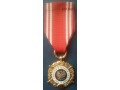 Medal Siły Zbrojne w Służbie Ojczyzny XX