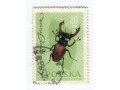 1961 chrząszcz jelonek rogacz znaczek Polska
