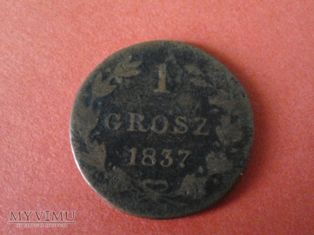 1 grosz 1837 r.