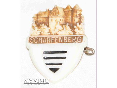 Duże zdjęcie Odznaka WHW Gau Sachsen 1941