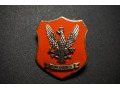 Odznaka Archiwum Wojskowego w Oleśnicy Nr:56