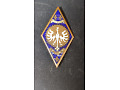 Odznaka 5 Pułku Kawalerii Pancernej wojsk Francji