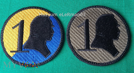 1 Dywizja Piechoty Legionów.