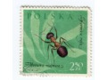 1961 mrówka rudnica formica rufa znaczek Polska