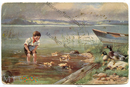 Jezioro i kaczusie - pocz. XX w.