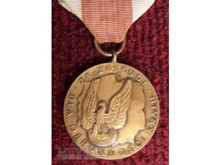 Medal za Zasługi dla Obronności Kraju