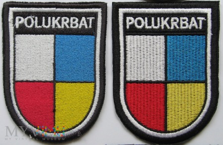 Polsko-Ukraiński Batalion Sił Pokojowych. Przemyśl