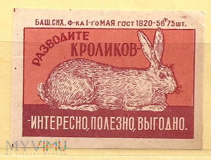 Rodowód królików.1960.2a
