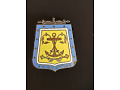 Odznaka 6 Pułku Huzarów armii francuskiej