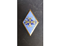 Odznaka 1 Dywizji Pancernej wojsk armii Francji