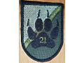 21 batalion 2 Lubelskiej BOT