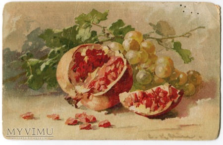 Duże zdjęcie Catharina C. Klein piękne owoce Fruit Postcard