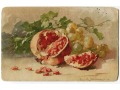Catharina C. Klein piękne owoce Fruit Postcard