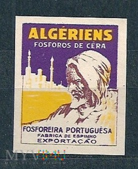 Algerines