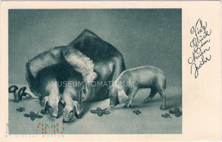 Świnka Noworoczna - lata 30-te