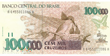 Duże zdjęcie Brazylia - 100 000 cruzeiros (1993)