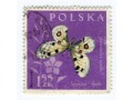 1961 motyl niepylak apollo znaczek Polska