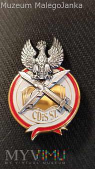 Duże zdjęcie Odznaka Centrum Doktryn i Szkolenia Sił Zbrojnych