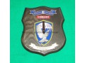 62 Kompania Specjalna Commando - ryngraf