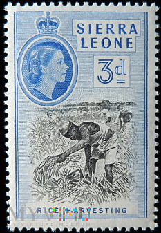 Duże zdjęcie Sierra Leone 3d Elżbieta II
