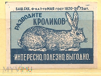 Rodowód królików.1960.3a