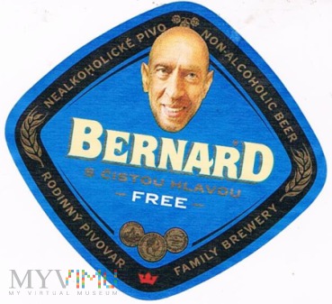 bernard s čistou hlavou free
