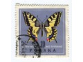 1967 paź królowej Papilio machaon Polska